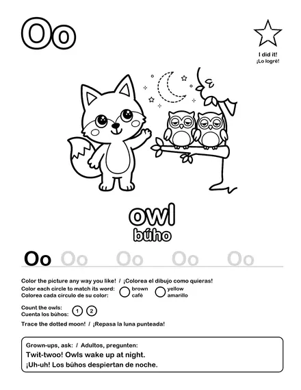 O · owl / búho